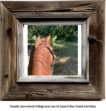 family horseback riding near me in Laurel Bay, South Carolina